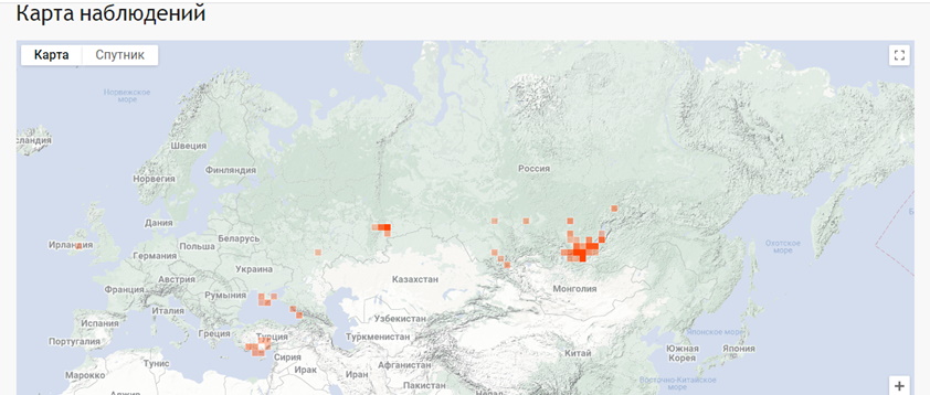 карта наблюдений